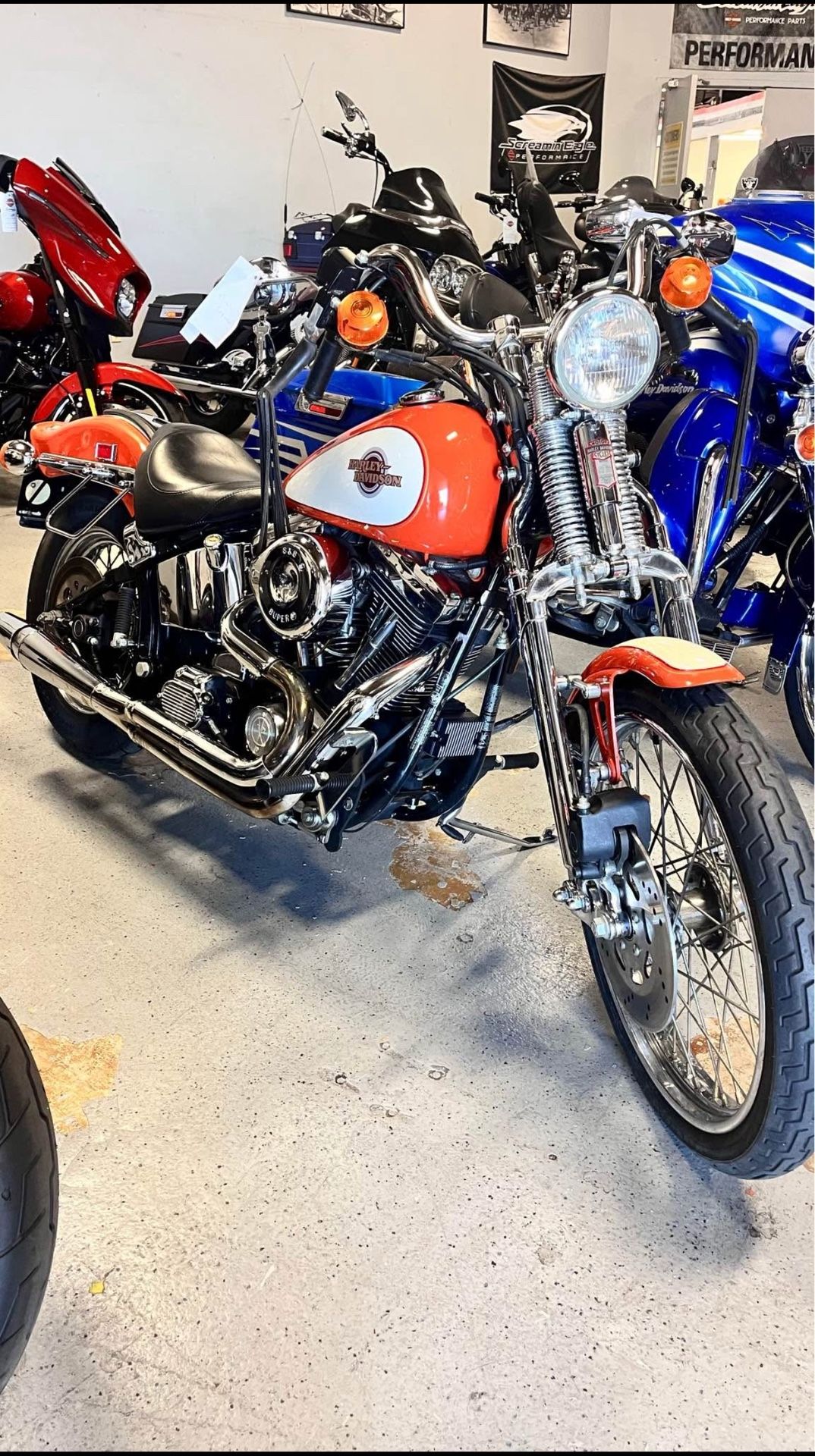 1998 Harley-Davidson Softail