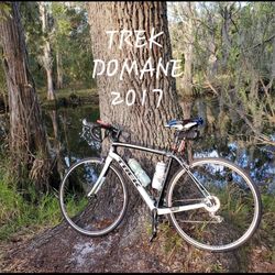Trek Domane 2017 Size 54