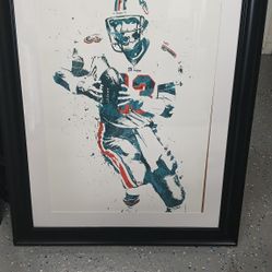 Framed Art Print  Dan Marino Dolphins Quarterba