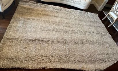 Large Beige Shag Area Rug 10 “. by 10 “