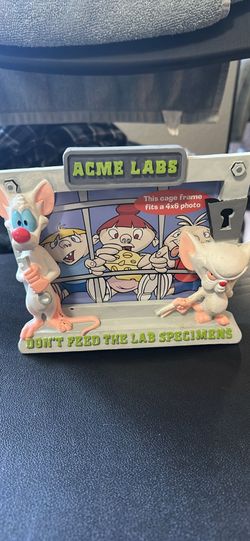 90’s pinky and the brain picture frame