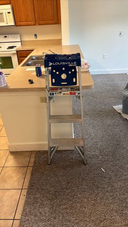 Louisville 4’ Aluminum Ladder  