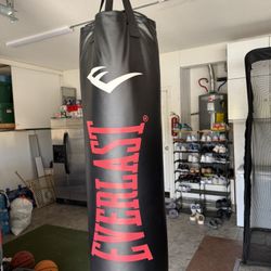 Medium Punching Bag