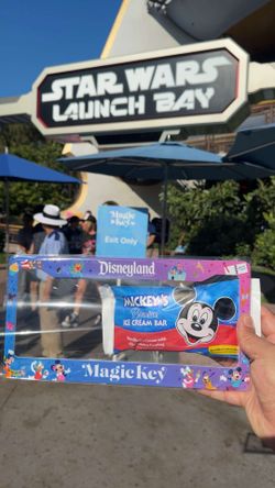 Disney magic key license plate cover