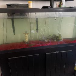 55 Gallon Fish Tank And Stand 700 OBO