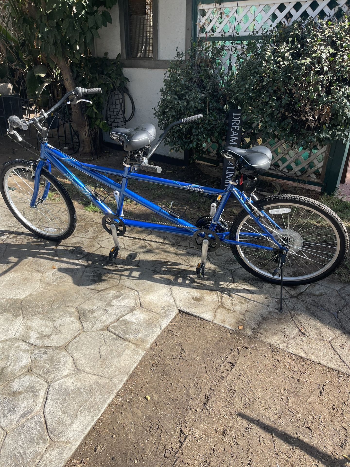 Pacific Dualie Tandem Bike