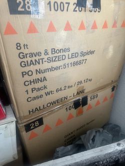 Halloween spider