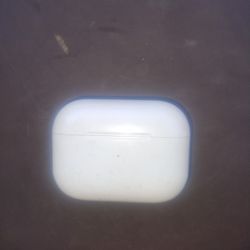 Apple iPod Pros Earbuds 
