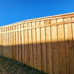 Cedar Fence