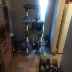 Cat Tree