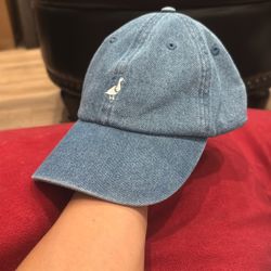 Duck Hat
