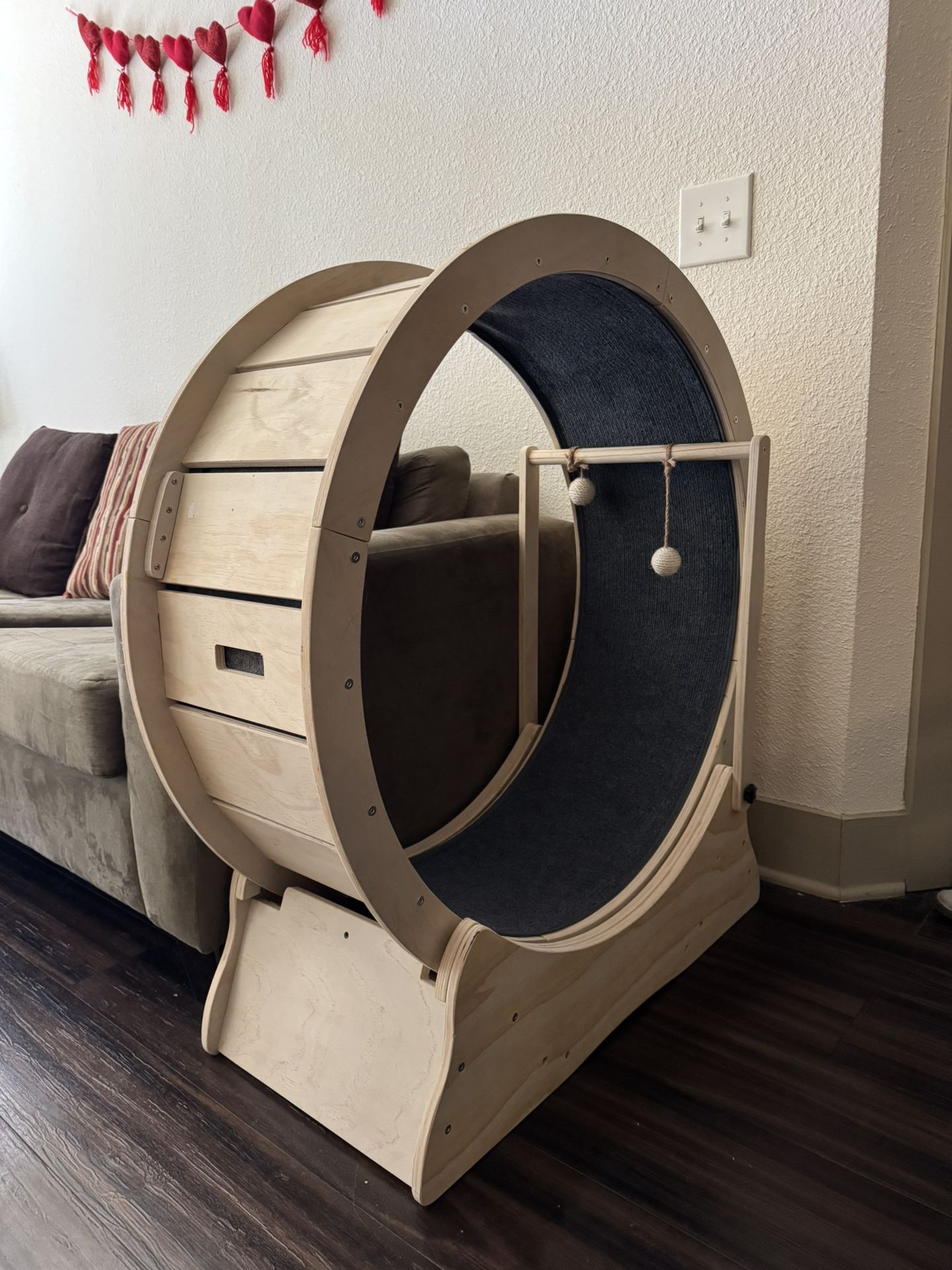 Cat Exercise Wheel with Cat Teaser