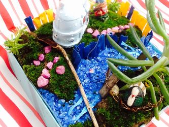 Miniature Fairy Garden...Real Plants And Live Moss