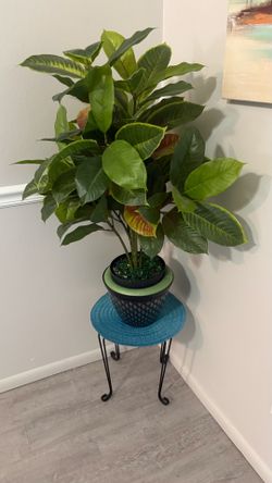 Faux Plant