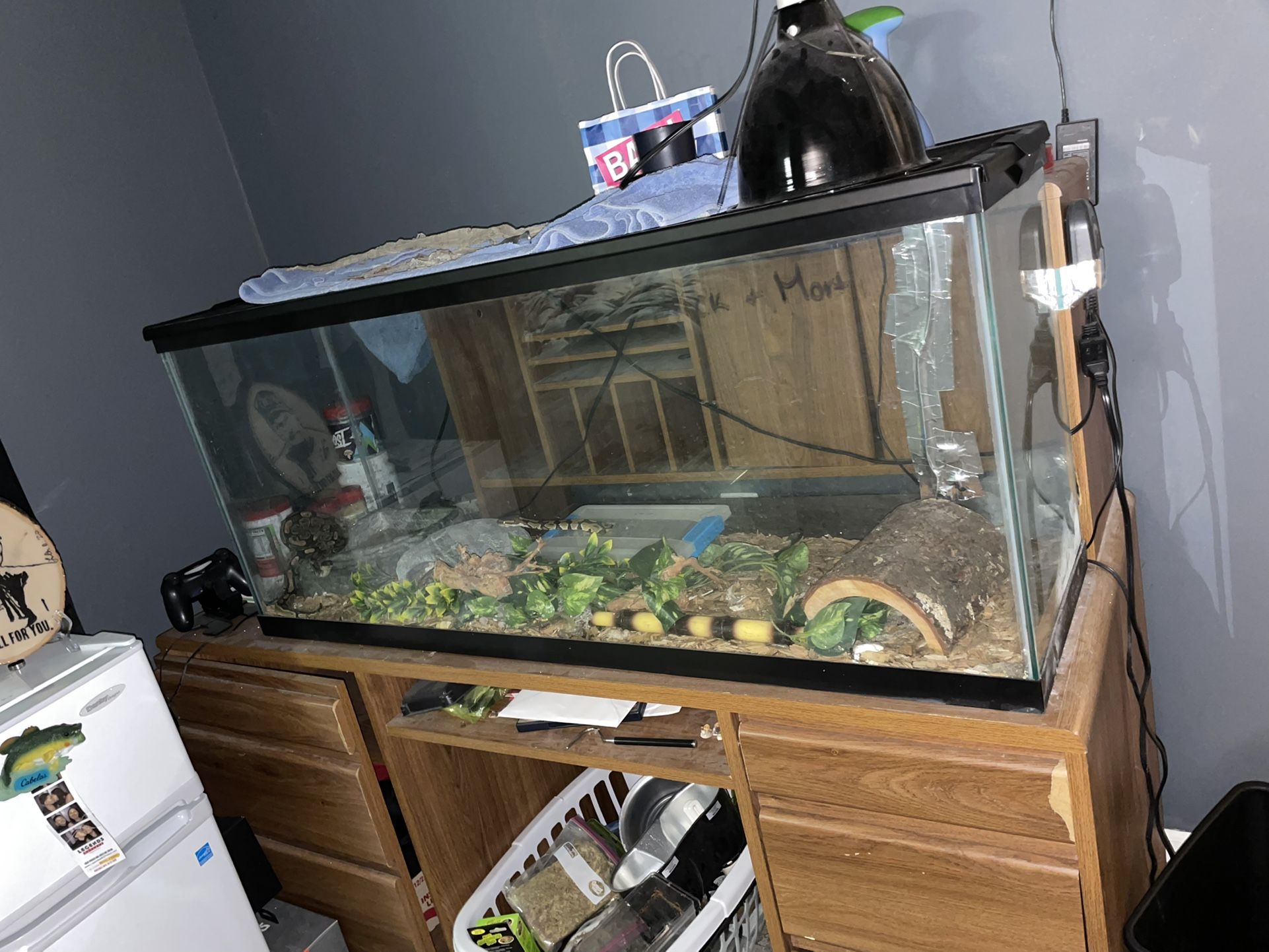 55 Gallon Reptile Enclosure 