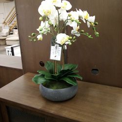 Large Faux Orchid White 