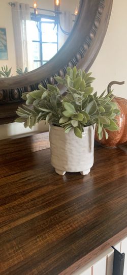 Faux Greenery in White Ceramic Footed Pot