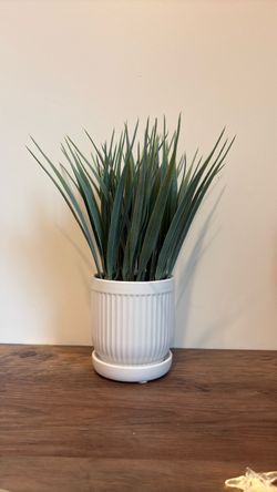Faux Grass Plant in White Ribbed Pot