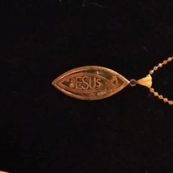 Silver Ichthus JESUS Inscribed Vertical Pendant Necklace