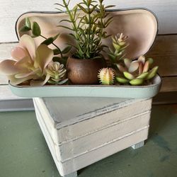 Succulent Decor