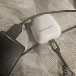 Probuds With Charger