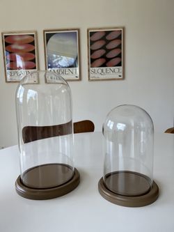 Bell Jars With Wood Base - Set Of 2