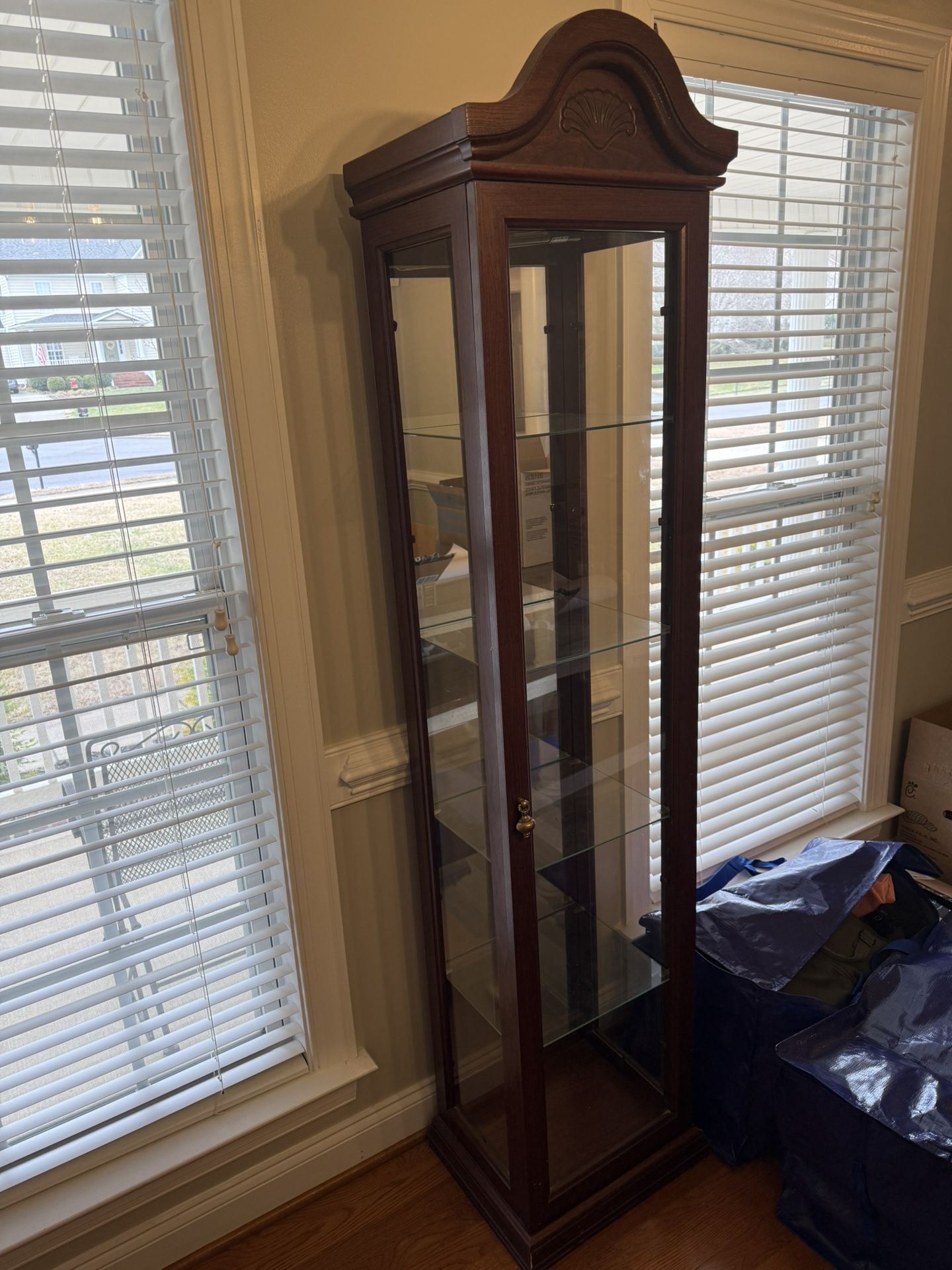 FREE Curio Display Cabinet