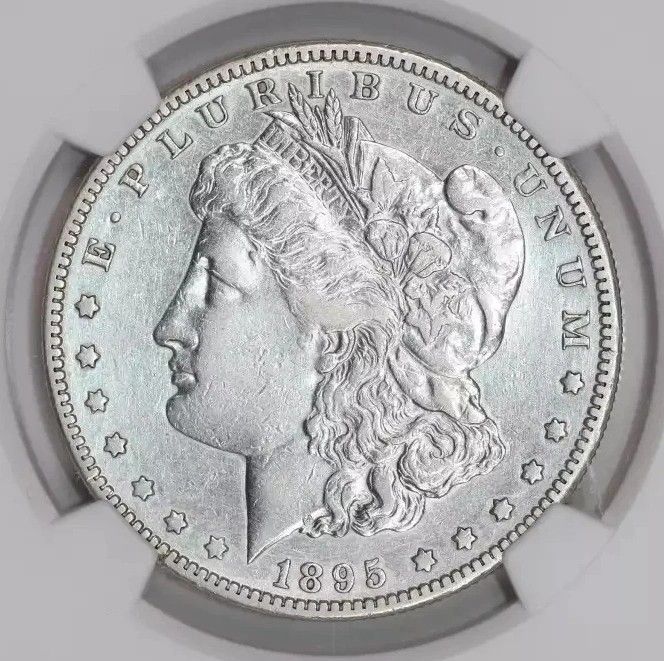 1895-S MORGAN SILVER DOLLAR DETAILS