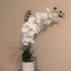 Faux Orchid Plant