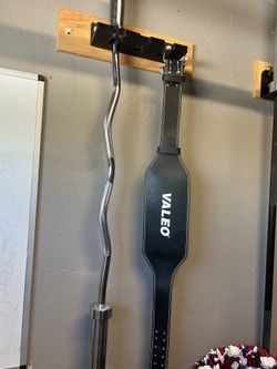 olympic curl bar new