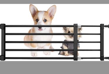 Short Dog Gate