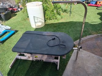 Shor-line pet grooming hydraulic lift table