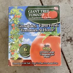 Pre seeded tomatoes 5$ each box, i have 2 boxes available