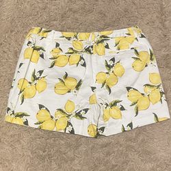LANE BRYANT Cotton Shorts w/Lemon Print   Size 16W