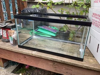 30 gallon tank quantity two