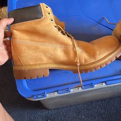 8M Timberland Boot