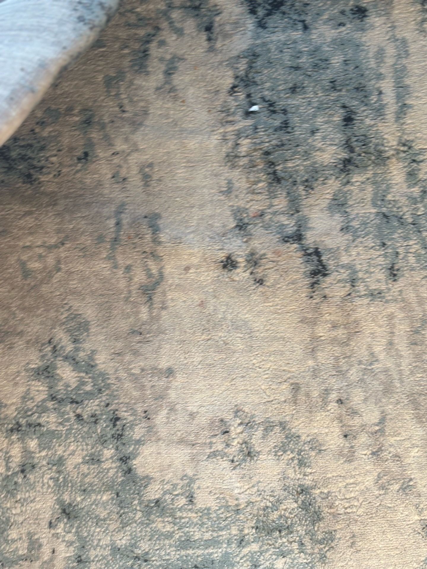 Area Rug