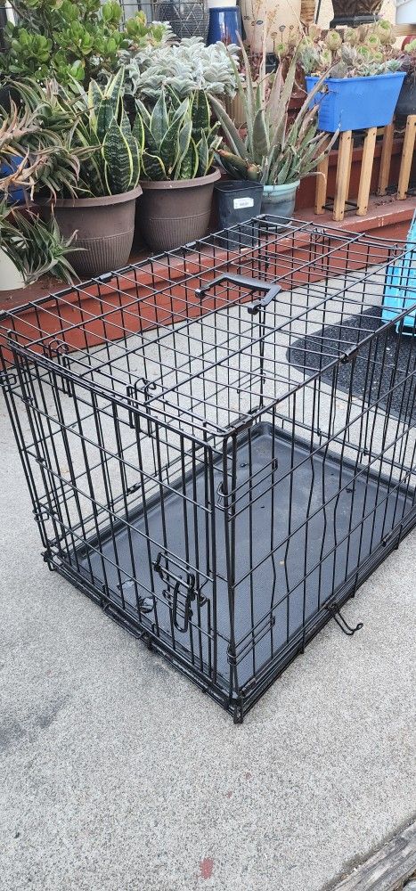 Dog Cage 