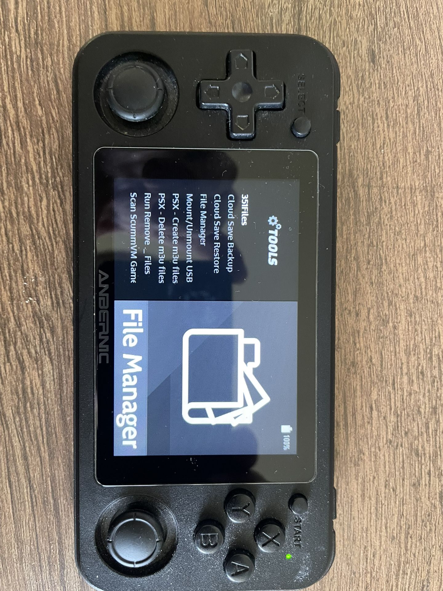 Anbernic RG 351P