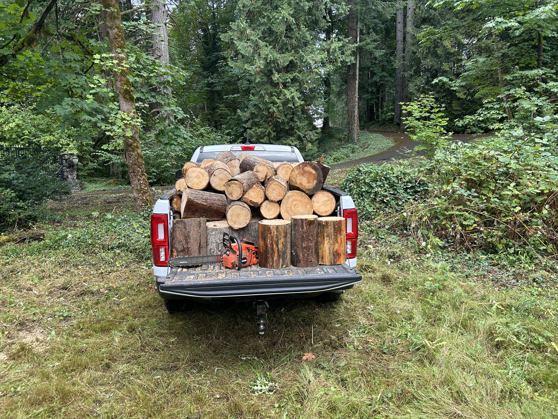 Firewood