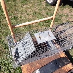 Raccoon Wildlife Trap No Kill