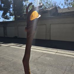 Onward Staff Disney TOY