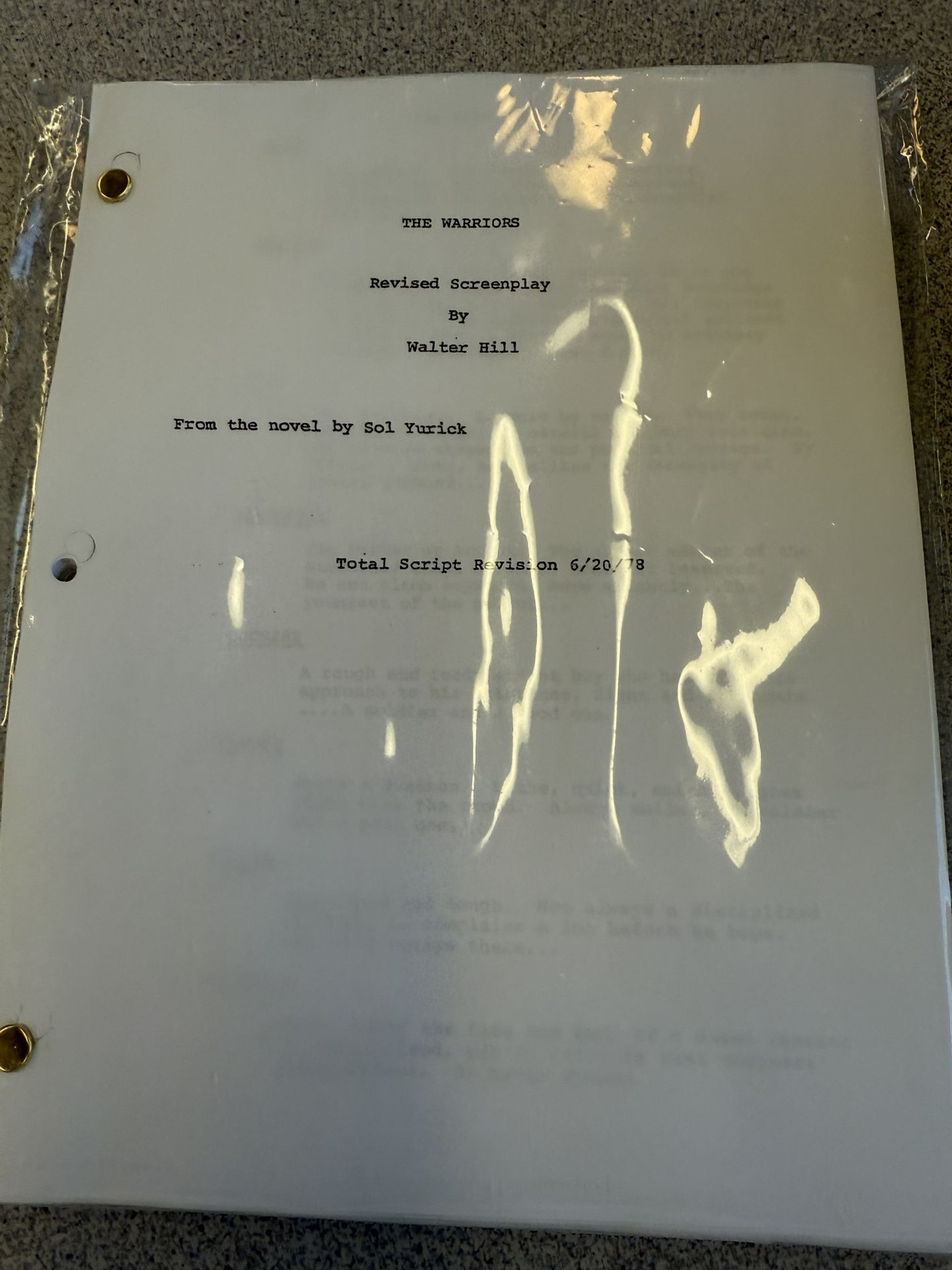 The Warriors (1979) movie script