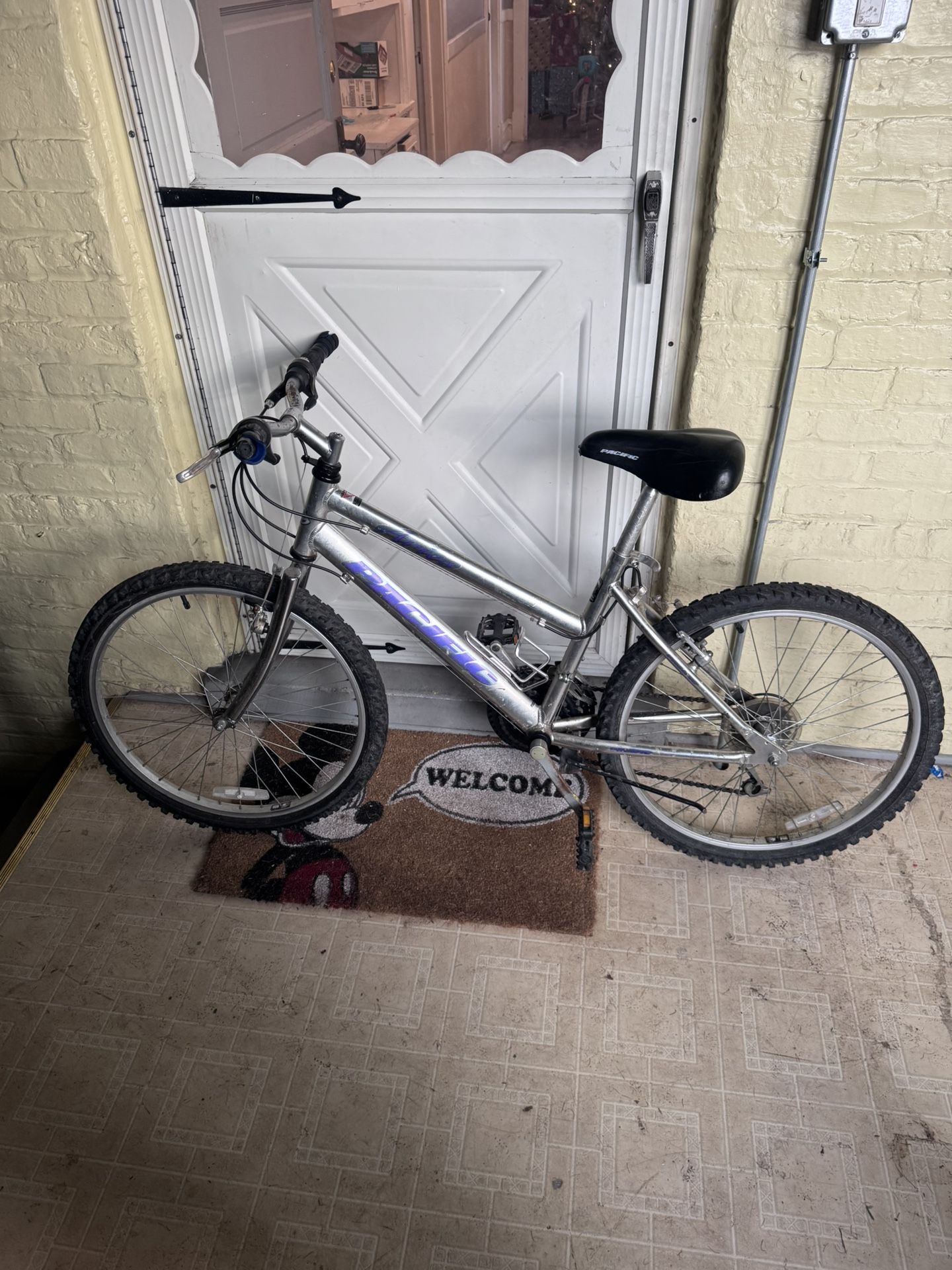 Used Pacifico Bike. Only needs air In Tires