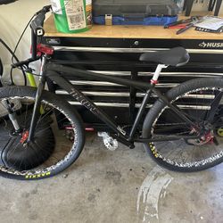 Custom Throne Goon 29er BMX Bike 