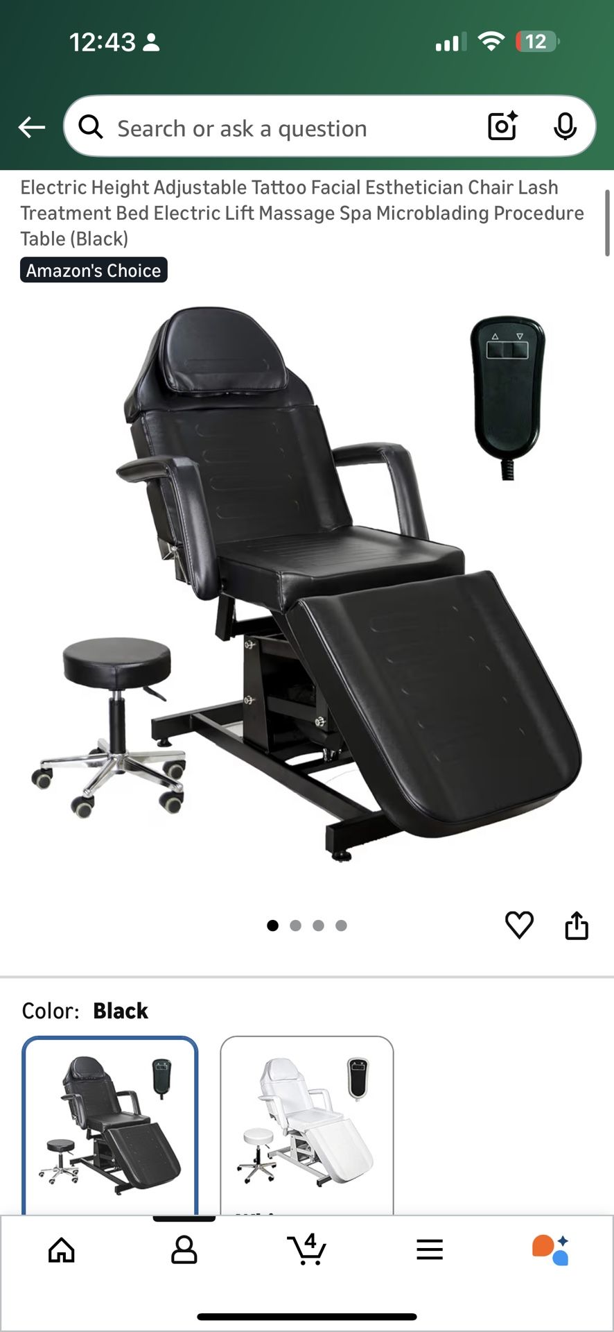 Salon Chair Electric