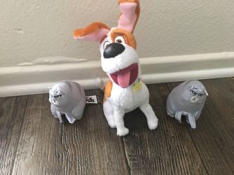 Animals stuff