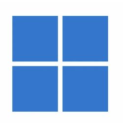 Windows 11 Pro Key+free installation if needed