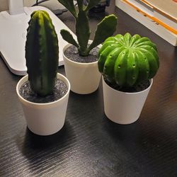 Artificial Mini Plants