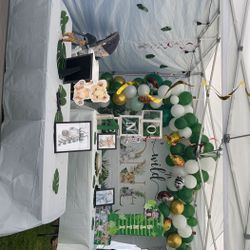 Event Decoration And Balloon Arches 